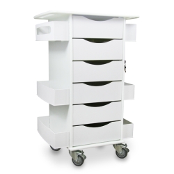 6 LOCKING DRAWER CART